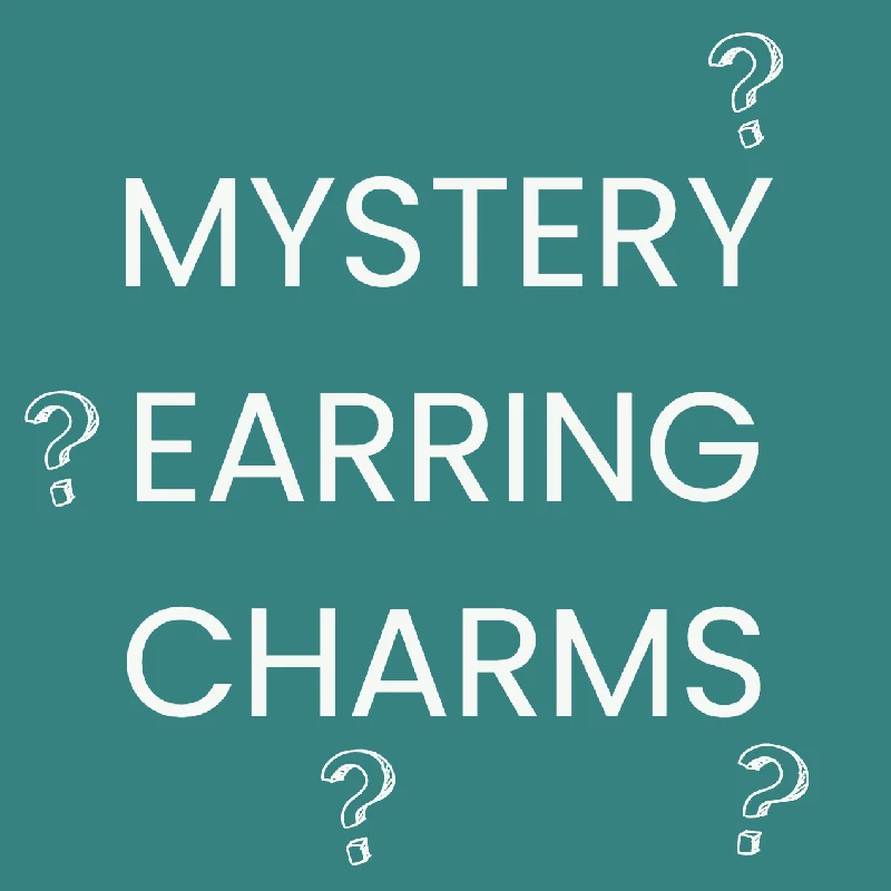 Women’s silver drop earrings-Mystery Earring Charms